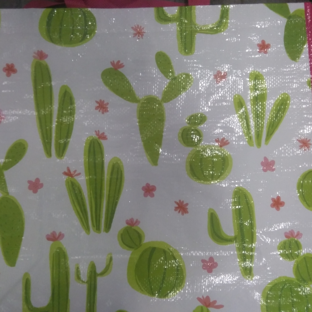 Reusable Polypropylene Bag